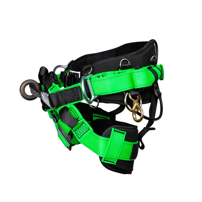 Load image into Gallery viewer, Buckingham Master 5.0 - 1490