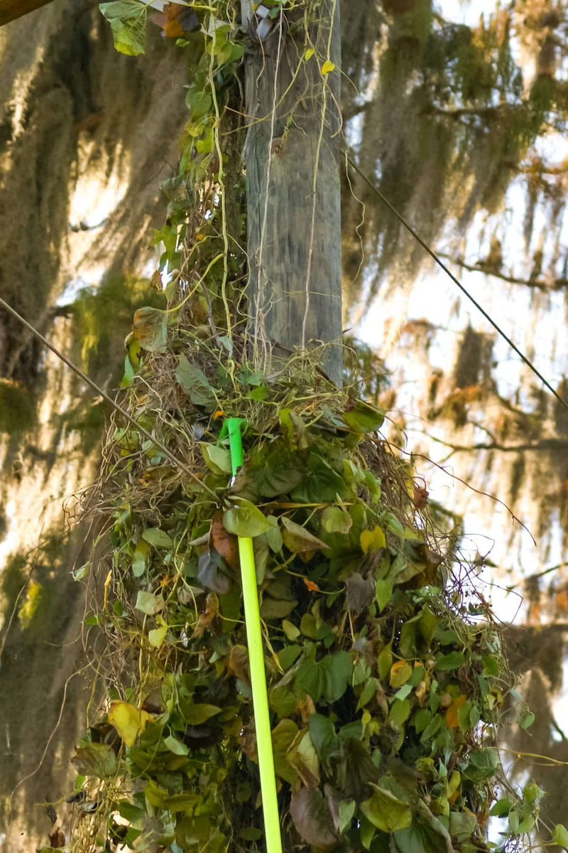Load image into Gallery viewer, DeViner™ Vegetation Removal Tool