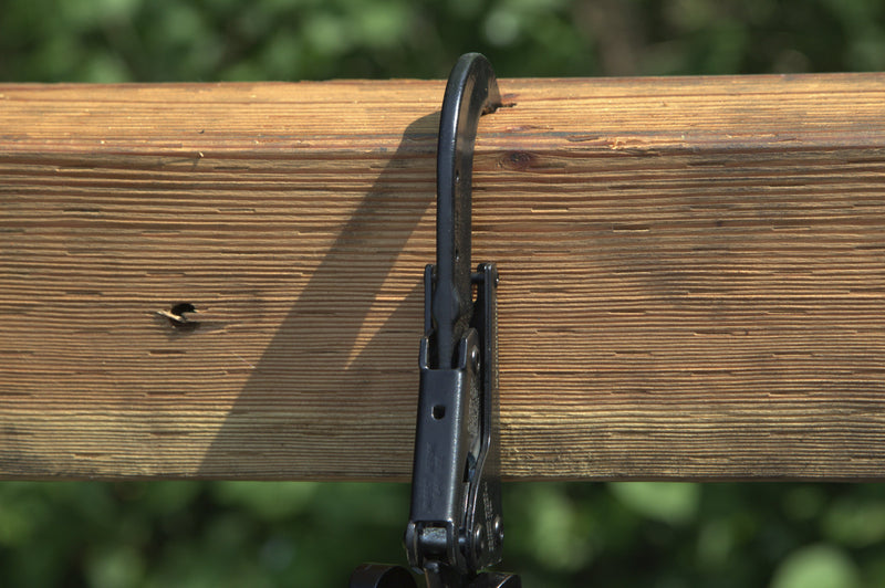 Load image into Gallery viewer, Buckingham OX HORN - 31291B