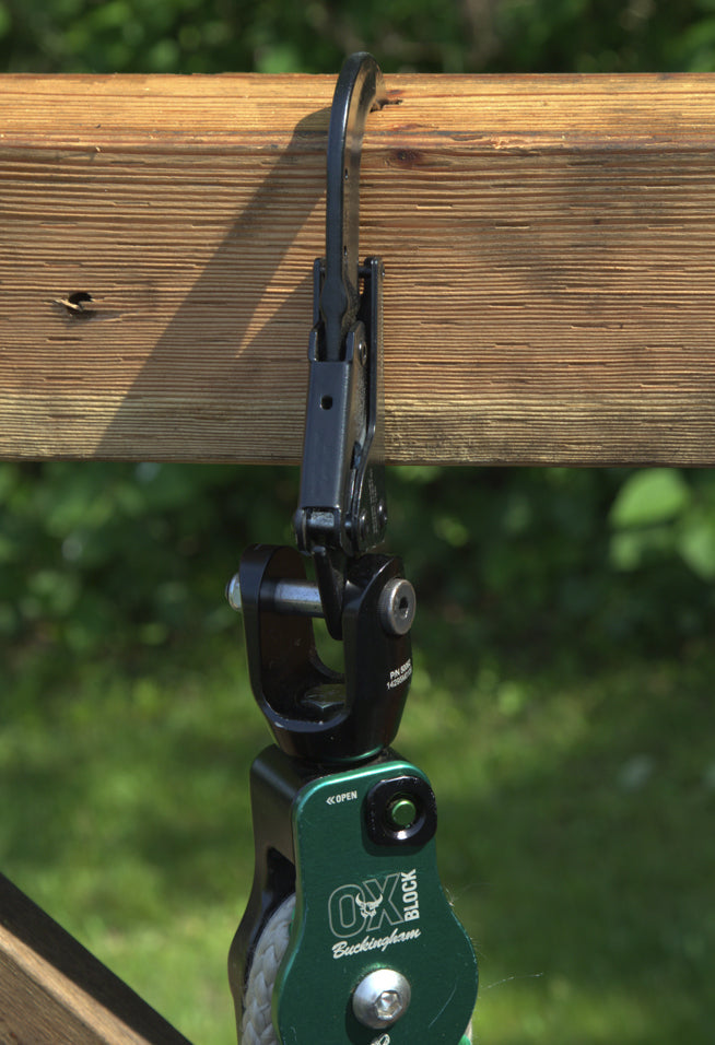 Load image into Gallery viewer, Buckingham OX HORN - 31291B