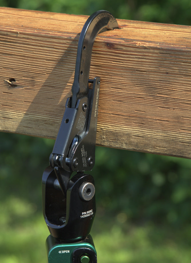 Load image into Gallery viewer, Buckingham OX HORN - 31291B