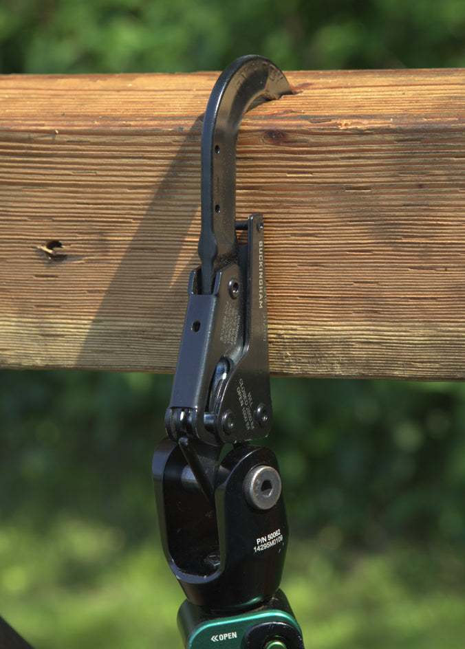 Load image into Gallery viewer, Buckingham OX HORN - 31291B