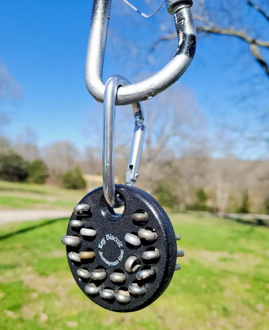 Load image into Gallery viewer, Key Biscuit