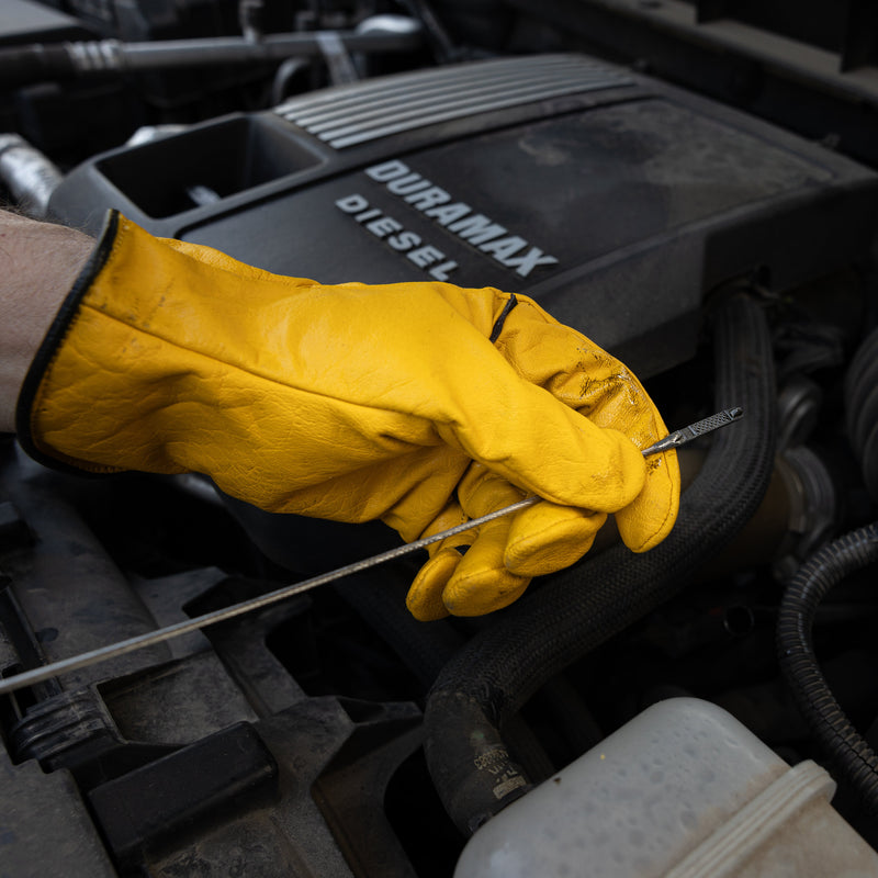 Load image into Gallery viewer, Yellow Jacket - D367