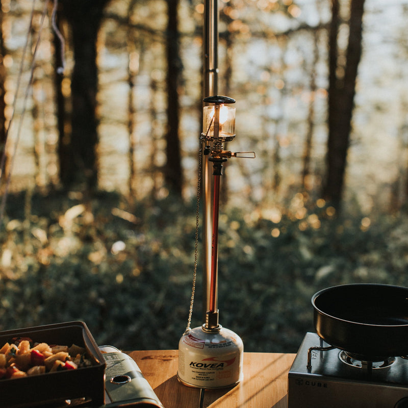 Load image into Gallery viewer, Observer