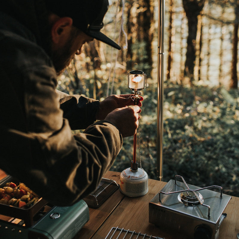 Load image into Gallery viewer, Observer