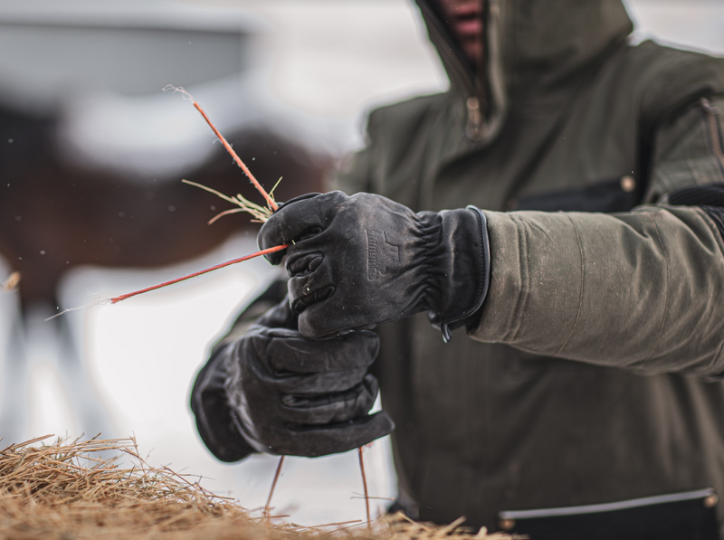 Load image into Gallery viewer, Midnight - D409