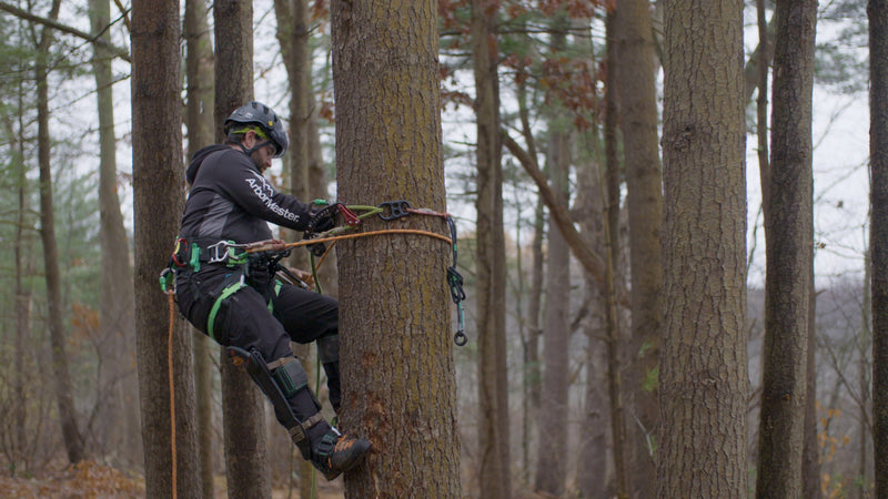 Load image into Gallery viewer, The SuperSaver™ - 64-6