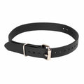 Single Piece Climber Strap – 2639 /2639B - product image 2