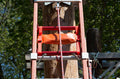 Buck Ladder Lock - 355T