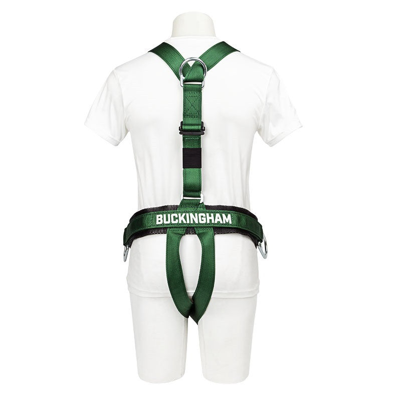 Load image into Gallery viewer, Buckingham Harness/Belt combination For Rescue Randy - 38523Q9-M
