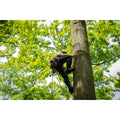 Steel Climbers - product image 7