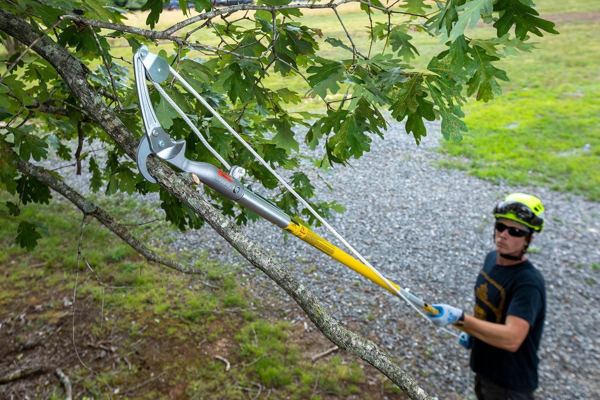 PH-X Pole Pruner Head - product image 6