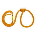 7 mm Head End Litter Spider - product image 2