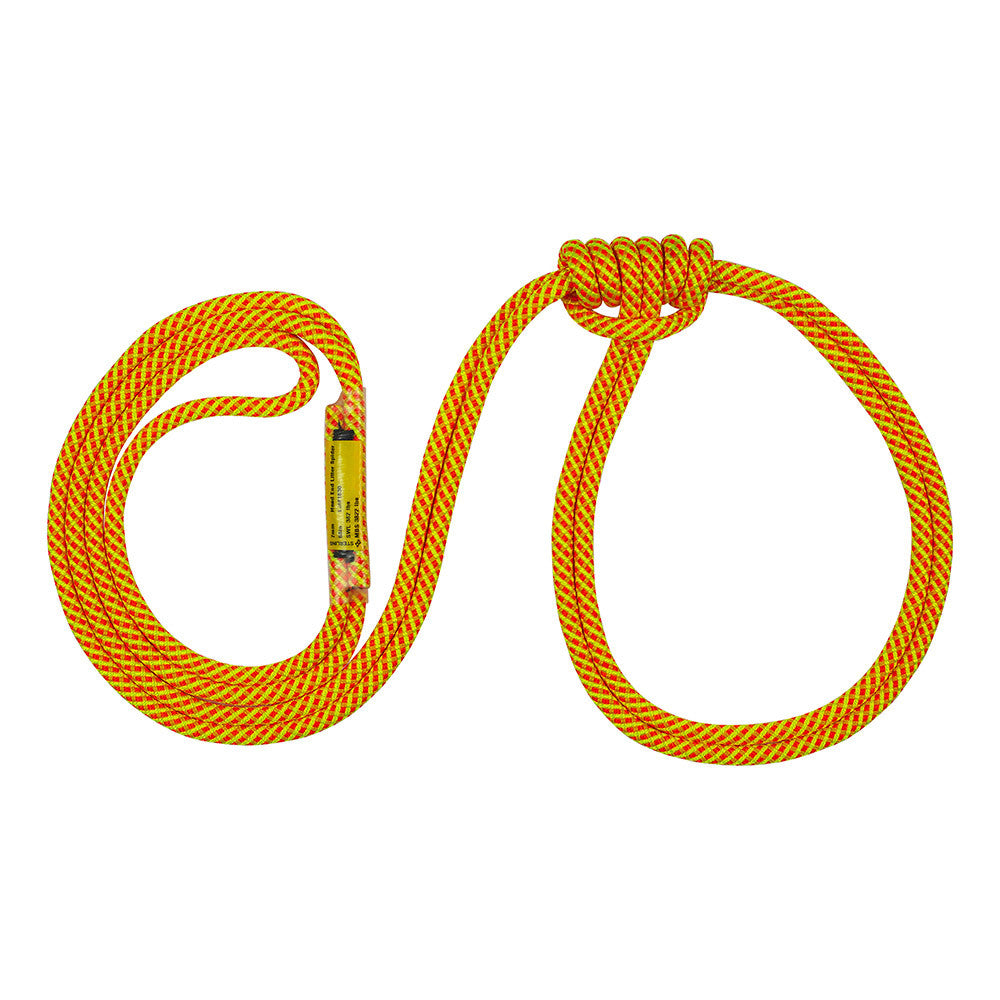 7 mm Head End Litter Spider - product image 2