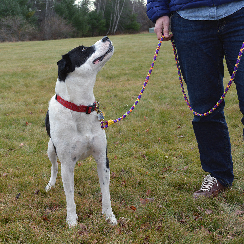 Sterling Dog Leash - product image 9