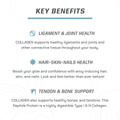 COLLAGEN