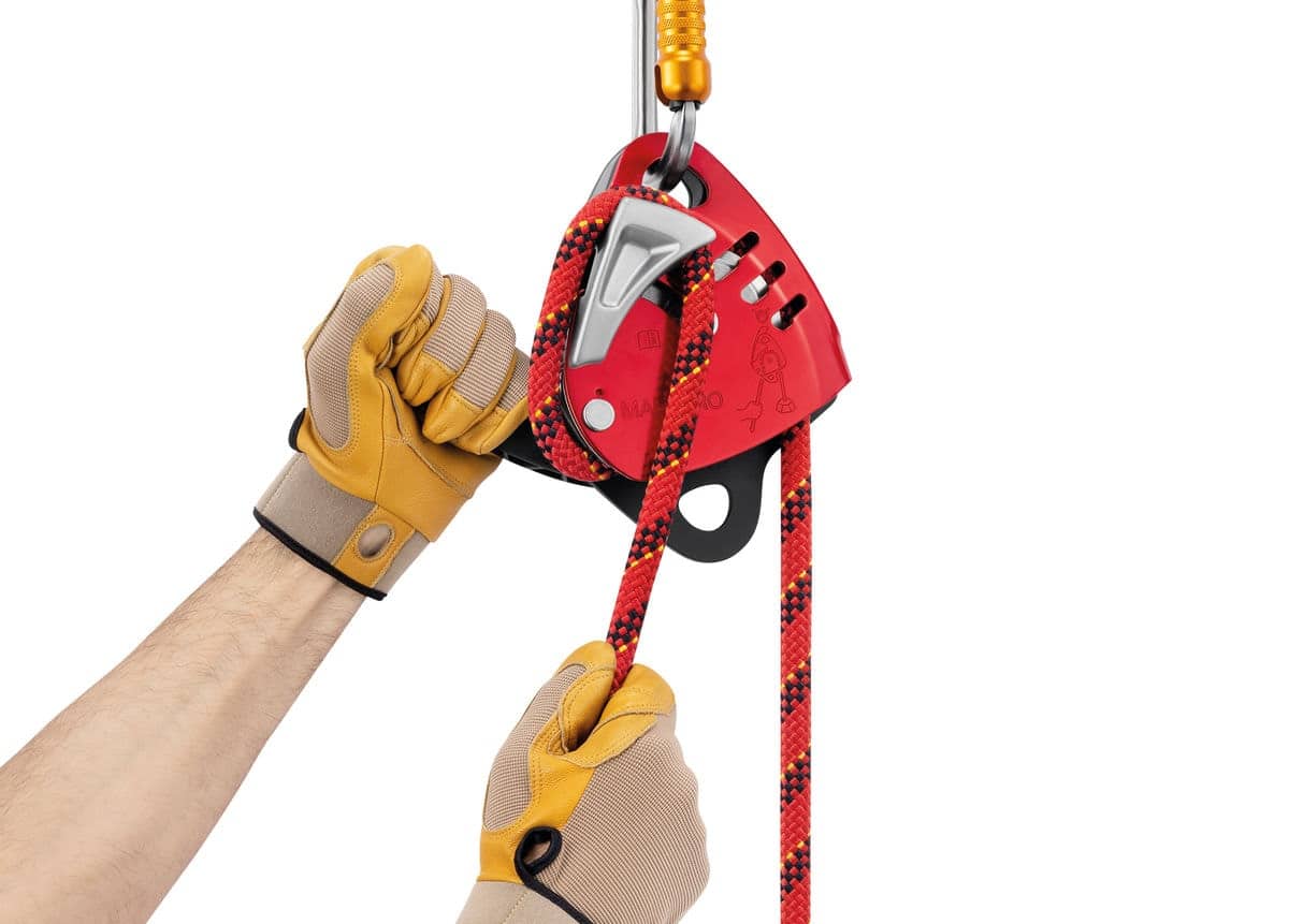 MAESTRO® L - product image 3