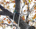The BuckSLAP™ – 3913 - product image 3