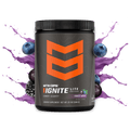 IGNITE LITE - Forest Berry / Tub - 45 Servings