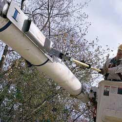 Load image into Gallery viewer, JAMESON- Long Reach Chainsaw Holder with Locking Straps &amp; Handle (81-24-03F)
