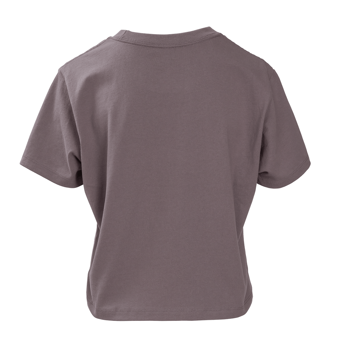 SKYLINE CROP TEE - Mauve / XXL