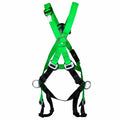 BLT Harness – U601A3Q1