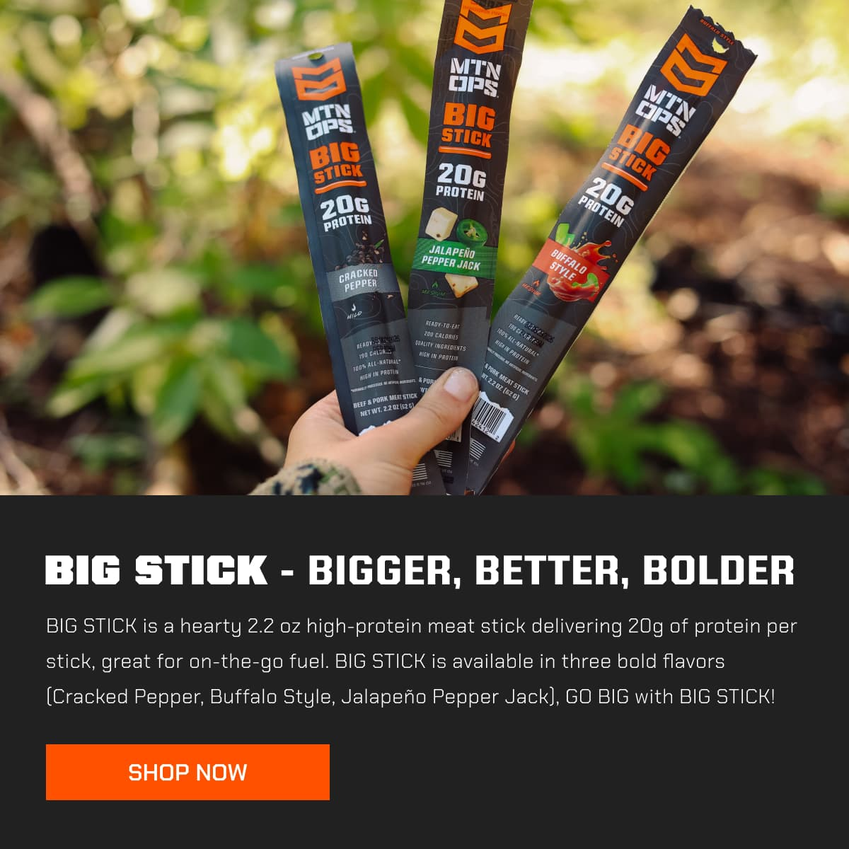 BIG STICK