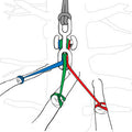 Notch BackBone Knotless Rigging Connector - product image 4