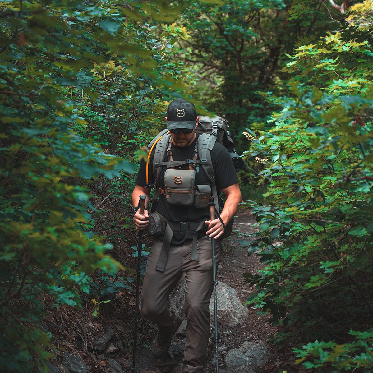 BINO HARNESS