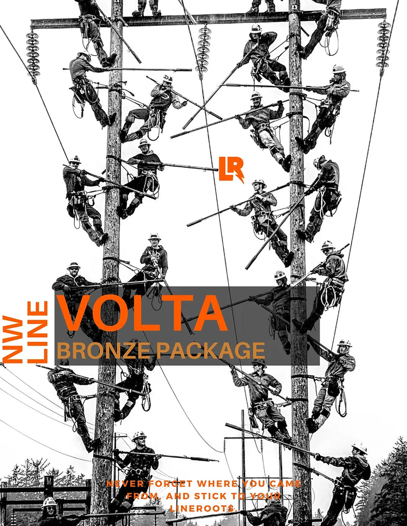 Load image into Gallery viewer, VOLTA- Bronze Package
