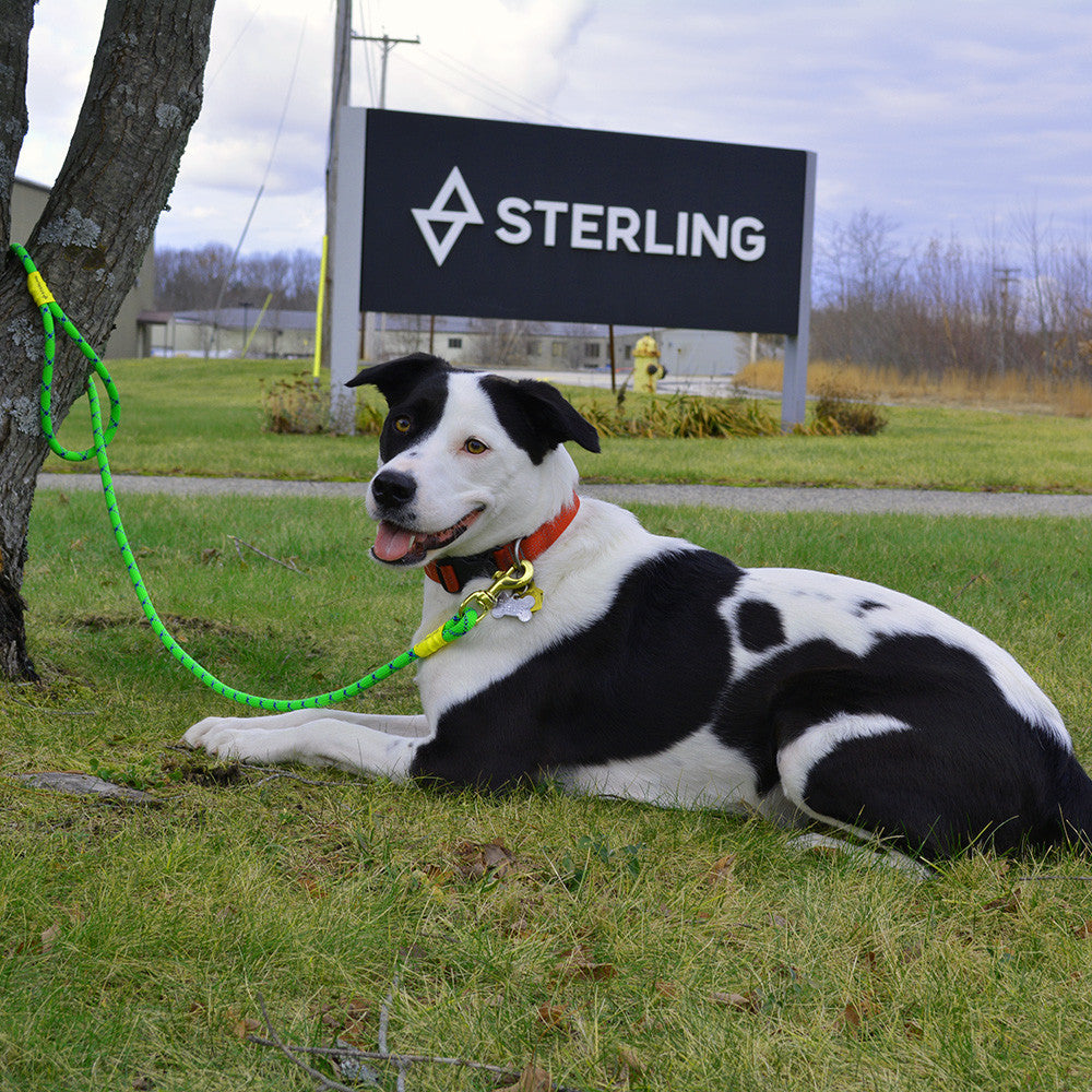 Sterling Dog Leash - product image 8