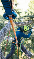 WOODPECKER 11,7MM by EDELRID - image 5
